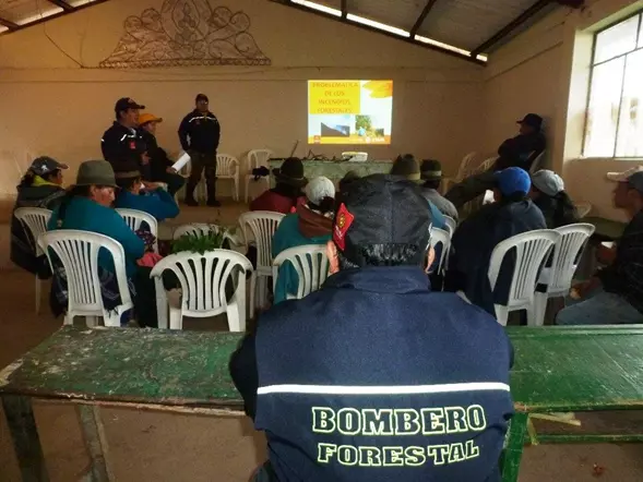 bombero forestal.webp