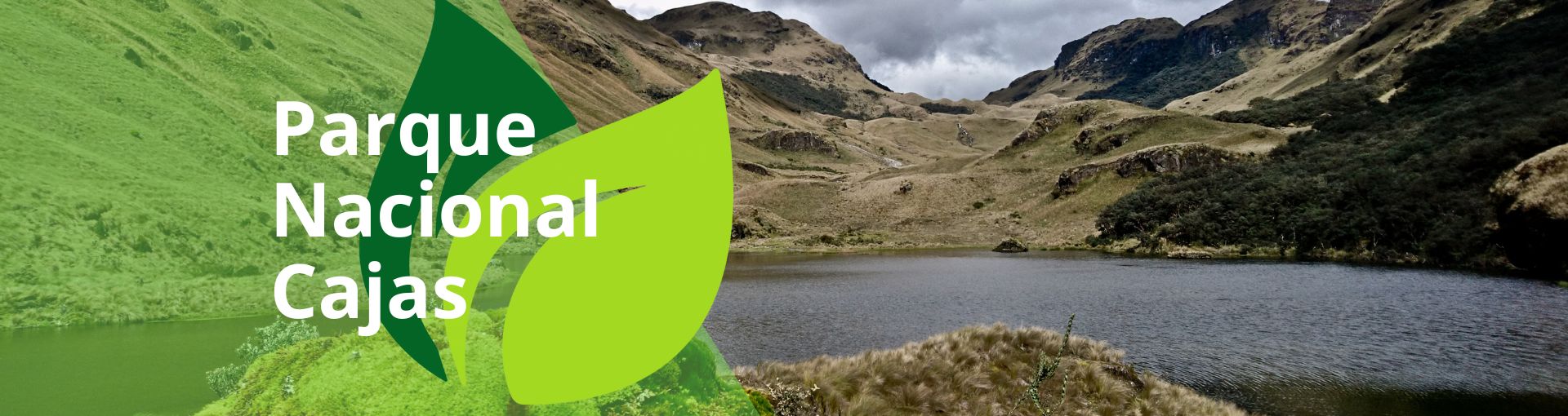 Banner Parque Nacional Cajas