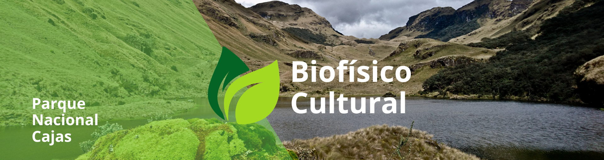 Biofisico Cultural