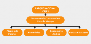 PNC Administracion y manejo organigrama2