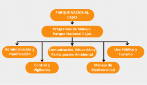 PNC Administracion y manejo organigrama3