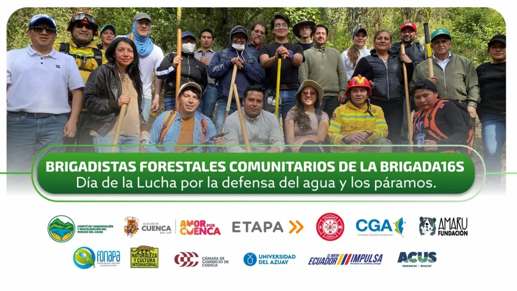 bba9beb8 549d 489e 8bd8 b7a4c9d8c0eb