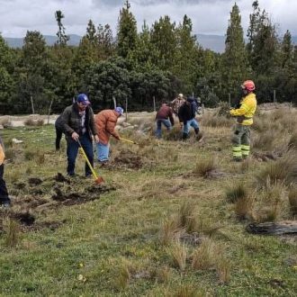 WhatsApp Image 2025 12 31 at 09.24.44