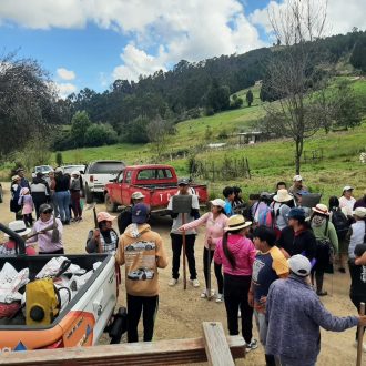 WhatsApp Image 2025 12 31 at 09.24.47