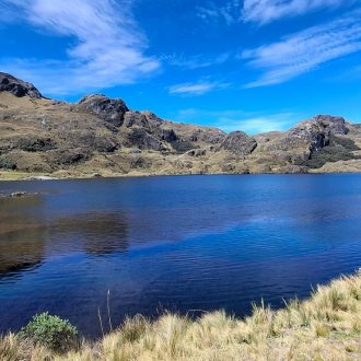 WhatsApp Image 2025 12 31 at 12.56.09 (4)